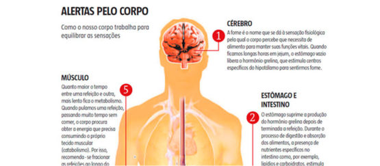 Emoções podem desregular complexo processo que rege a fome